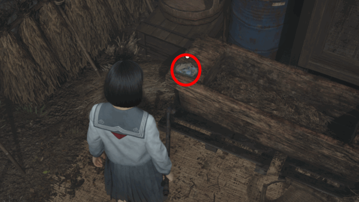 Ema Sammelobjekt in Silent Hill f